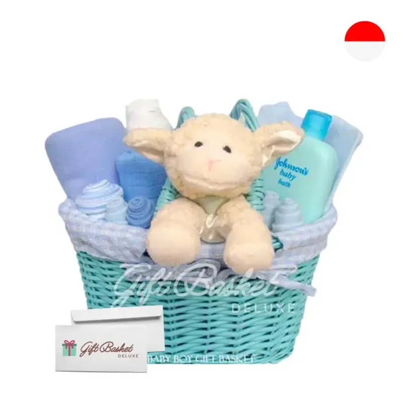 baby gift set for baby boy